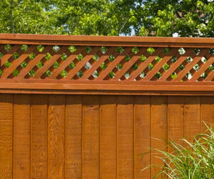 Fence Panels