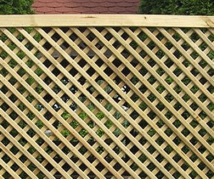 Trellis Panels