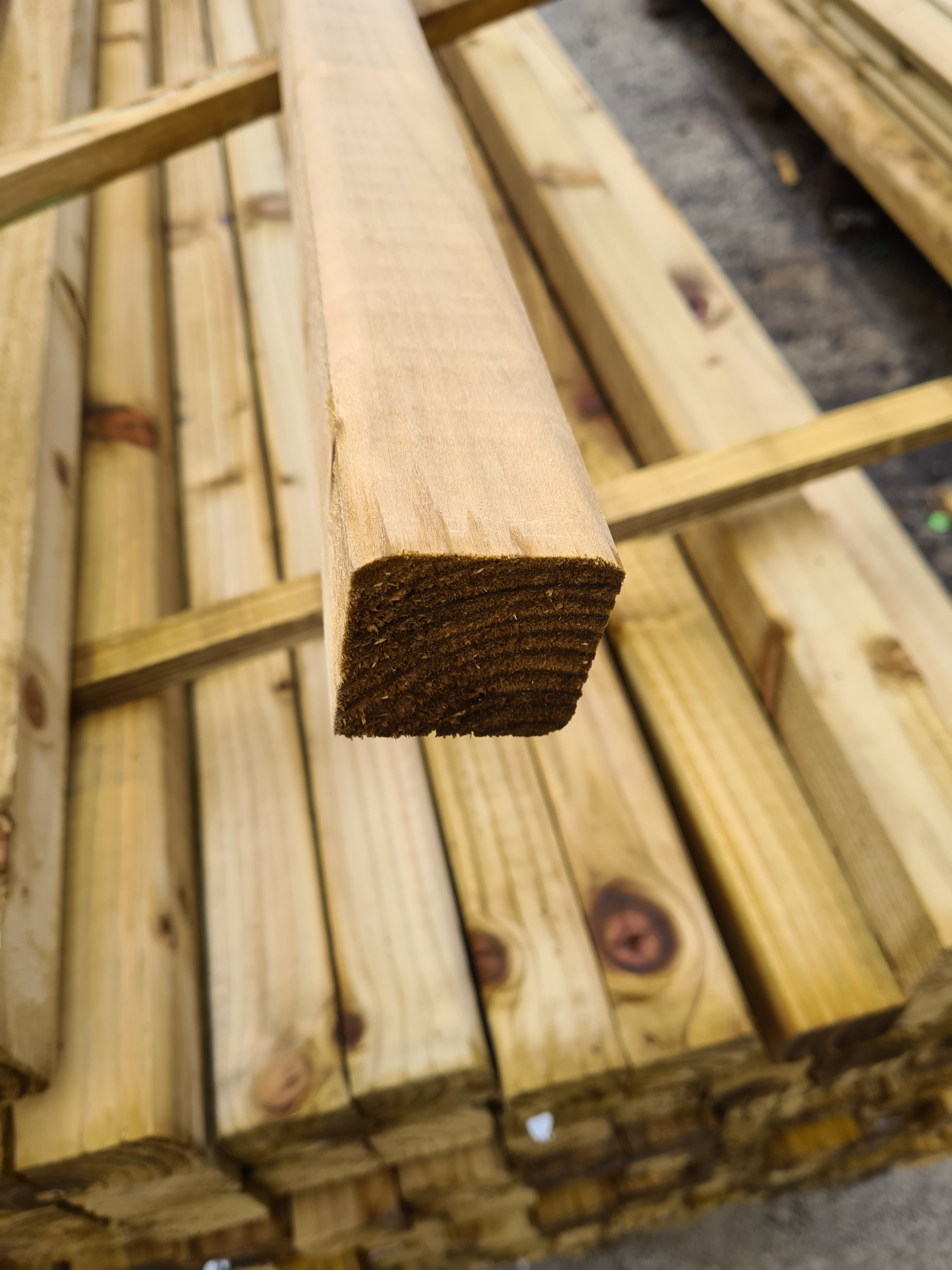 Shed Framing 45 x 45mm treated easi edge 3.6m | Stewart Timber